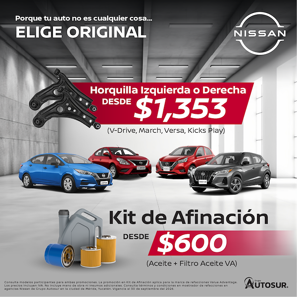 Kit de afinación Nissan