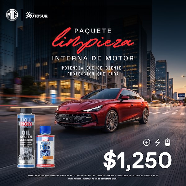 Paquete limpieza interna de motor MG
