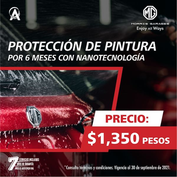 PROTECCION DE PINTURA