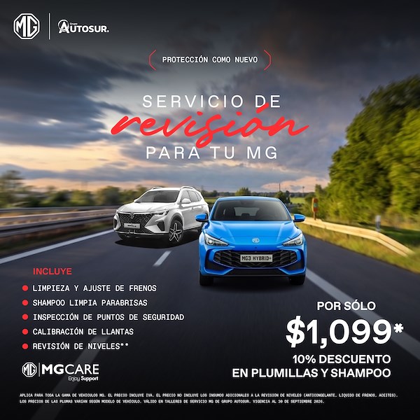 MG: Servicio de revisión
